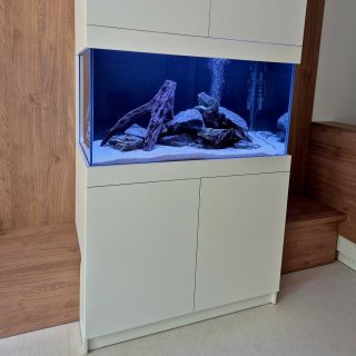 ✨ Dnes sme spustili nové akvárium! Napustené, tesné, pripravené na svoj biologický štart 🌿 🐠 Už čoskoro ho zaplnia farebné...