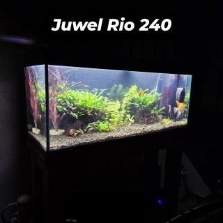 Akvárium po pravidelnom servise