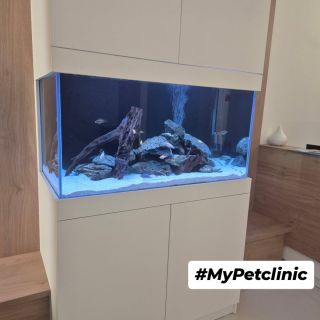 Naša realizácia pre Veterinárnu kliniku v Bratislave.