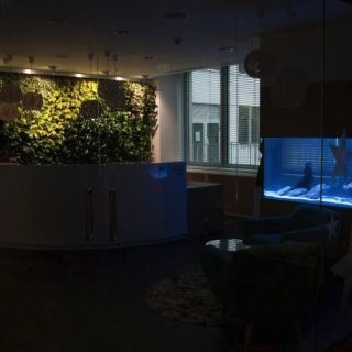 Akvárium, ktoré zmení atmosféru celého priestoru.