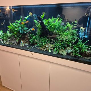 Akvárium ako pokojný kút uprostred rodinného chaosu Toto akvárium sme zakladali začiatkom roka pre mladú rodinu, kde to...